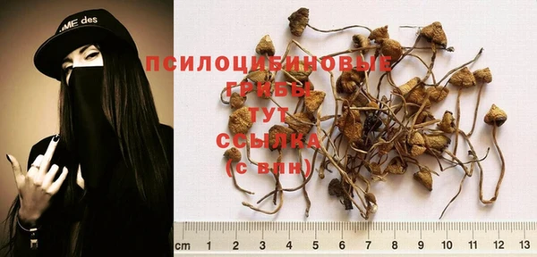 MDMA Premium VHQ Белокуриха