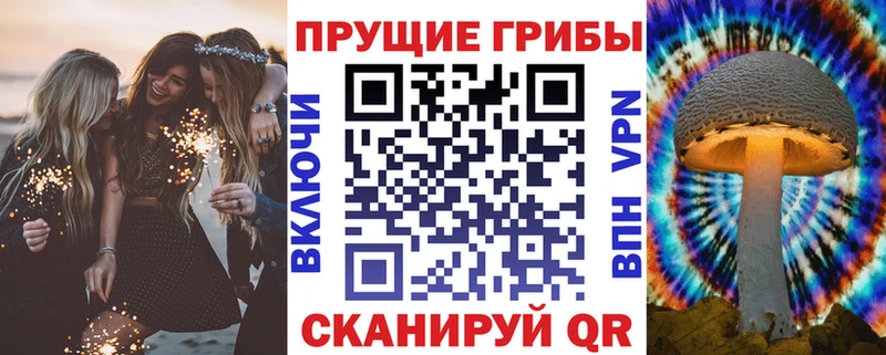Галлюциногенные грибы GOLDEN TEACHER  даркнет сайт  omg зеркало  Надым 